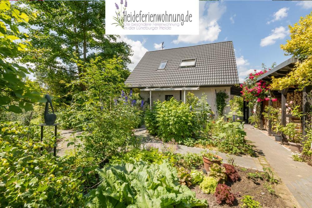 Heideferienwohnung Walsrode Exterior foto